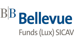 logos - Bellevue.png